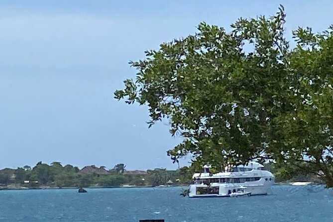 4 Hours Party Boat Catamaran Cruise in Negril - Rick’s Cafe at the End: The Energy-Heavy Finish