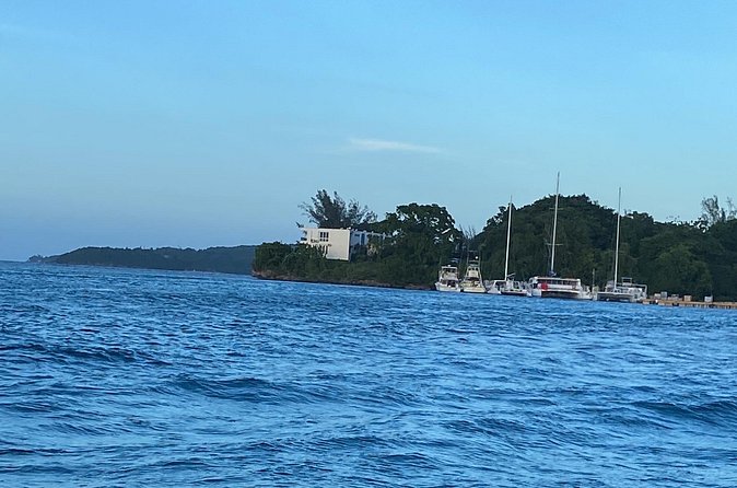 4 Hours Party Boat Catamaran Cruise in Negril - Who This Tour Fits Best (And Who Should Think Twice)