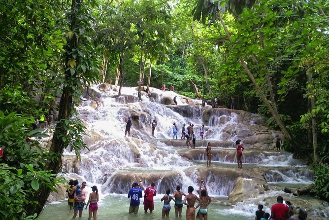 6. Bob Marley 9miles/Dunn's River Private Tour(420 Friendly)final resting place - Price and Value: Is $235 Per Person Fair?