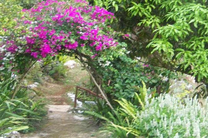 Ahhh Ras Natango Gallery and Garden Private Transfer - What the 3 to 4 Hours Feels Like, and How to Prepare