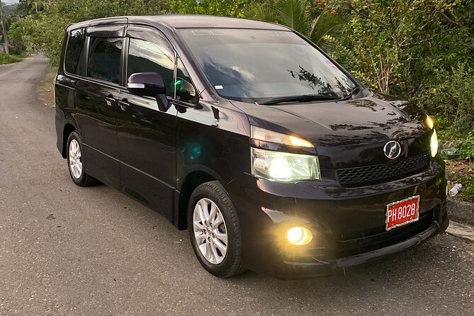 Airport Round-Trip Transfers To Negril From Sangster’s International Airport - Key points to know before you book
