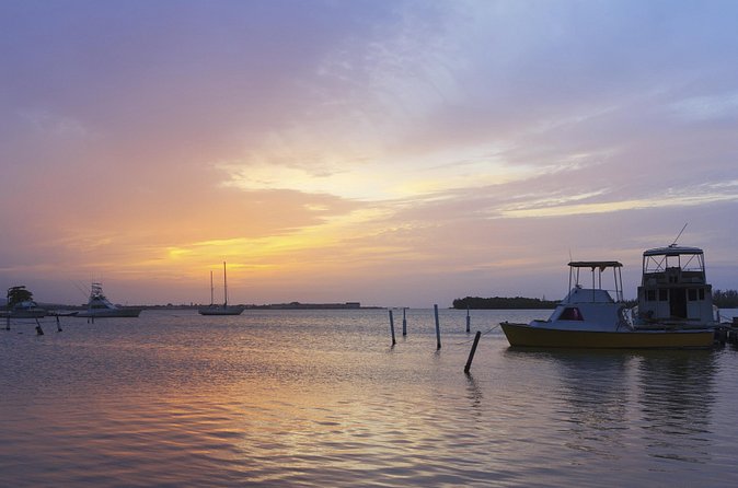 An Evening on the Lagoon: Martha Rafting, Luminous Lagoon and Falmouth Highlight - Mystic Luminous Lagoon: Glow-in-the-Dark Swimming With a Boat Tour
