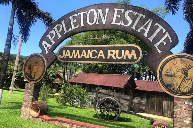 Appleton Estate Rum Factory And YS Falls Inclusive Tours From Montego Bay - Key Highlights You’ll Actually Feel on the Day