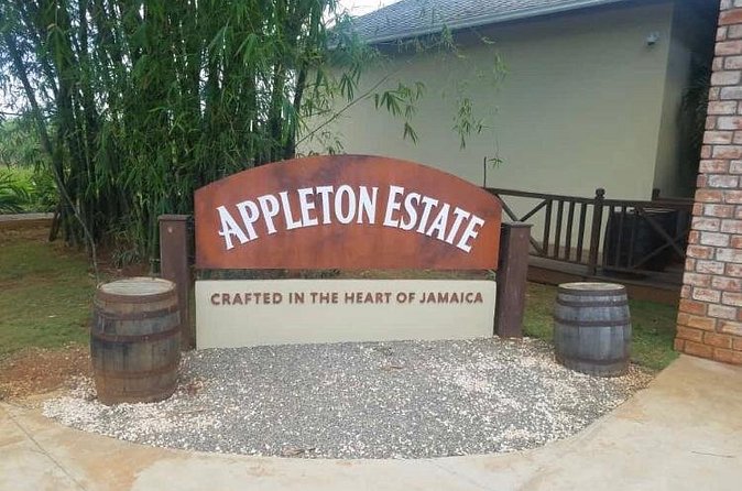 Appleton Estate Rum Private Tour - 10 rum samples: how to make the most of a structured tasting