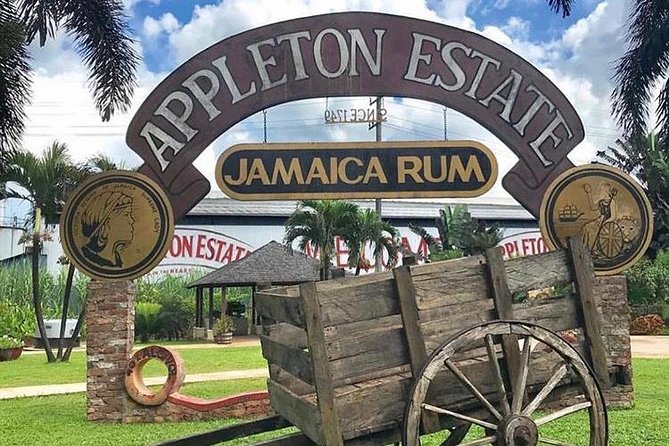 Appleton Estate Rum Private Tour - The free bottle at the end: why this bonus matters in real life