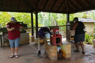 Appleton Estate Rum Tour and Pelican Bar Customize Tour