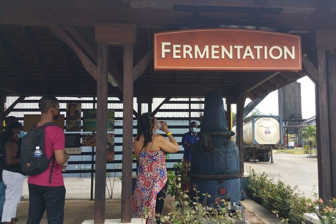 Appleton Estate Rum Tour and Pelican Bar Customize Tour - Guide and Safety: When Errol Turns the Drive Into Part of the Experience