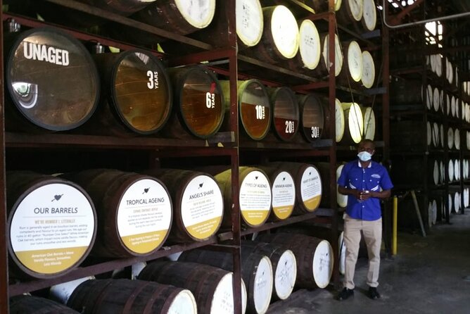 Appleton Estate Rum Tour and Pelican Bar Customize Tour - What to Drink, What to Eat, and How to Avoid a Rougher Day