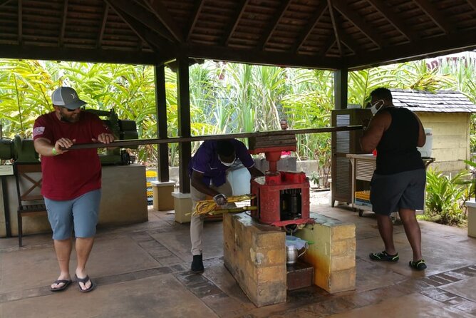 Appleton Estate Rum Tour and Pelican Bar Customize Tour - Getting Picked Up in Montego Bay and How the Day Moves