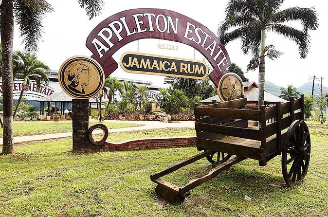 Appleton Estate Rum Tour and Tasting from Kingston - The value of chauffeur-led comfort, especially after tasting