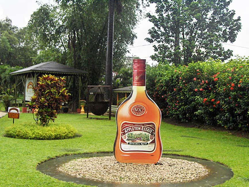 Appleton Estate Rum Tour: Full Day from Montego Bay - The Drive Through Sugar Cane Country (The Part You Should Not Rush)