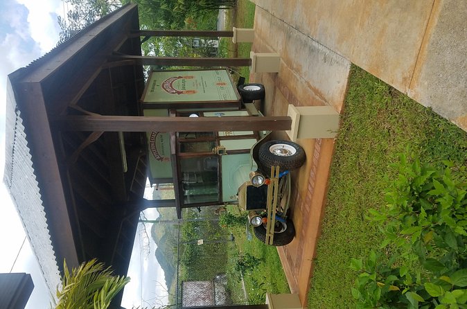 Appleton Estate Rum Tour [Transportation services] - Who should book this Appleton Estate rum tour, and who might skip it