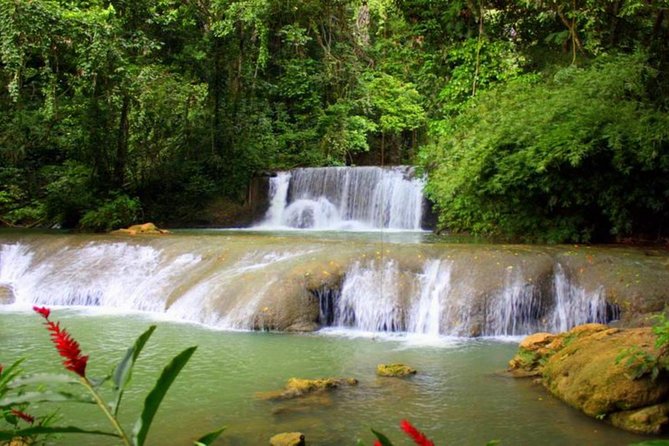 Appleton Estate, Ys Falls and Black River Safari Private Tour - A Smooth Combo Day From Montego Bay