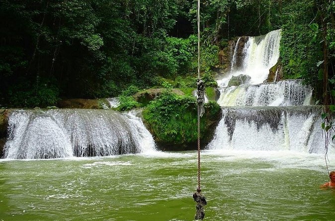 Appleton Estate, Ys Falls and Black River Safari Private Tour - Price and Value at $242.06 Per Person