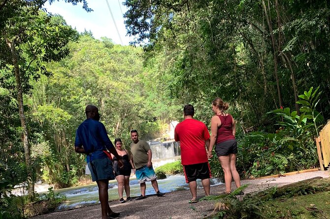 Appleton estate,YS Falls,Black River Safari,Pelican Bar(any 3of4) - How the Negril to Montego Bay day really works
