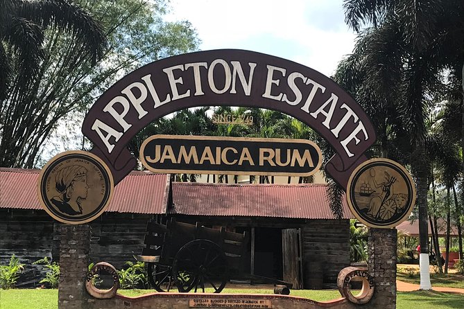 Appleton Rum Factory, YS Falls, and Reggae Horseback Ride & Swim Combo Tour - Key things I’d plan for before you go