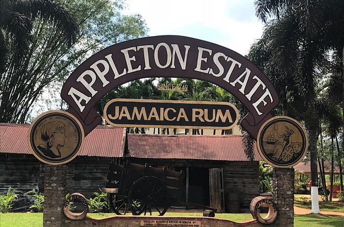 Appleton Rum Factory, YS Falls, and Reggae Horseback Ride & Swim Combo Tour - Why this Appleton, YS Falls, Black River, and horseback combo makes sense