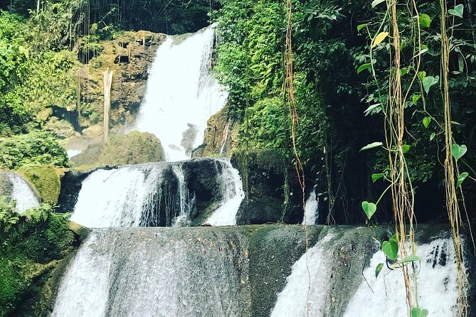 Appleton Rum Factory, Ys Falls, Black River Safari, Floyd’s Pelican Bar - Black River Cruise Safari: Wildlife and Community Stories on Jamaica’s Longest Navigable River