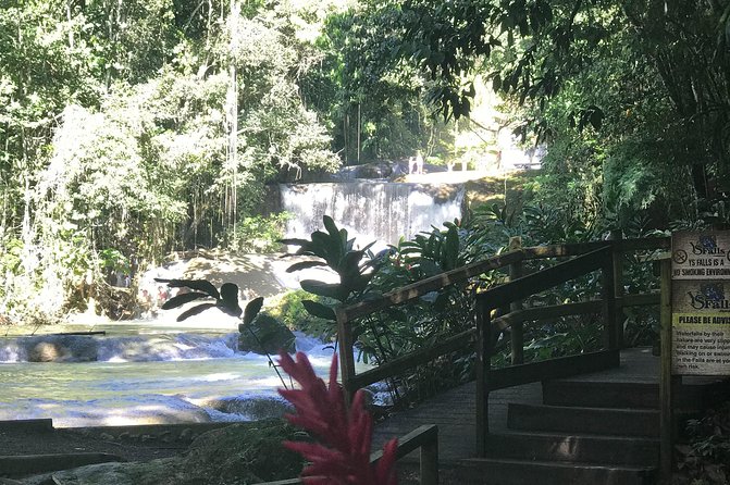 Appleton Rum Factory, Ys Falls, Black River Safari, Floyd’s Pelican Bar - Lunch, Admission, and Group Discounts: Where the Value Really Comes From
