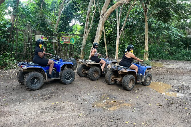 ATV , Horseback Ride & Ricks Cafe Sunset Tour From Montego Bay - Private driver and photo stops: why the logistics feel easier than you expect