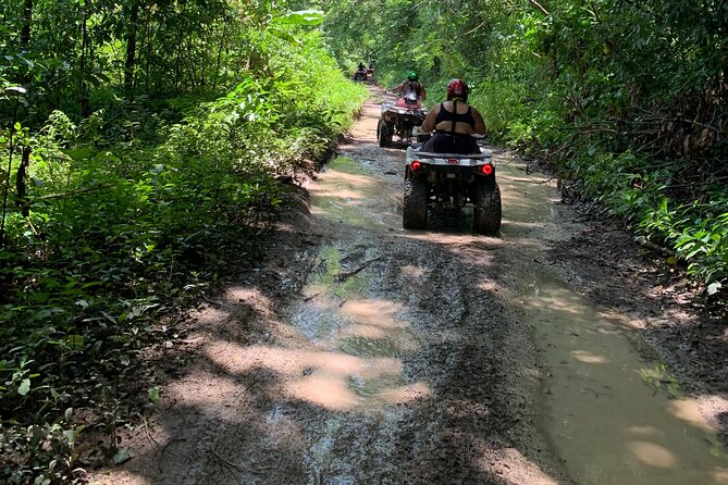 ATV Jungle Safari Tour from Montego Bay - Riverside Stops and the Cool-Water Moment