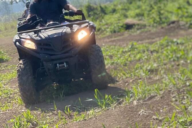 ATV, Zipline, Horseback, Bamboo Rafting and Rick’s Cafe - Horseback Ride: Comfort Rules and The 260 lbs Limit