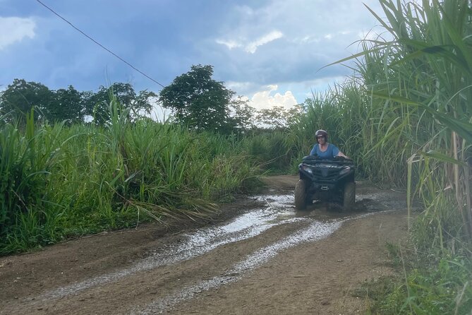 ATV, Zipline, Horseback, Bamboo Rafting and Rick’s Cafe - Rick’s Café: Cliff Jumps and Sunset, With a Timing Check