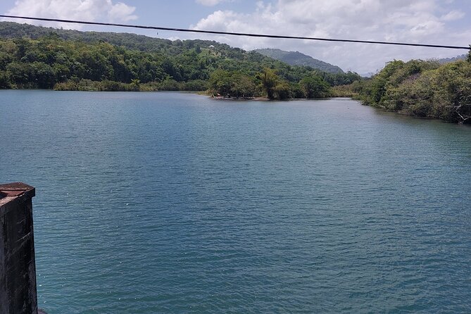 Bamboo Rafting and Boston Jerk Centre Tour in Portland Jamaica - Who should book this Rio Grande rafting plus jerk chicken tour