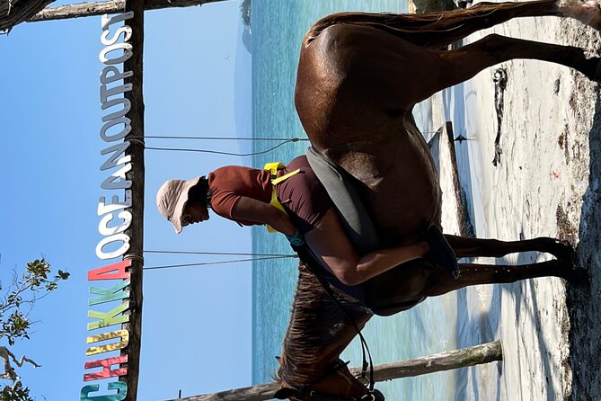 Bamboo Rafting & Horseback -dunns river Transportation Included - What I’d Watch For Day-of (Timing, Weather, and Lunch)