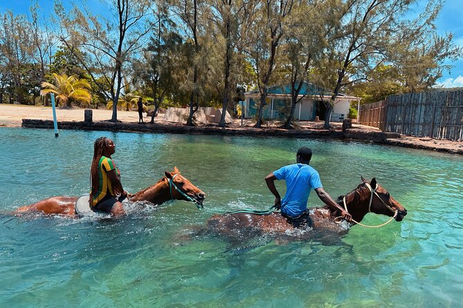 Bamboo Rafting & Horseback Ride n Swim Guided Tour In Montego Bay - Tips to Go Smoothly (So You Get the Fun Part)