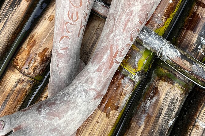 Bamboo rafting with limestone massage - The Most Praised Parts: Hospitality, Flexibility, and Birthday Care