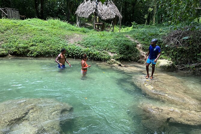 Benta River & Falls Private Tour From Montego Bay - Under the hood: what sustainability means here (and what to do with that)