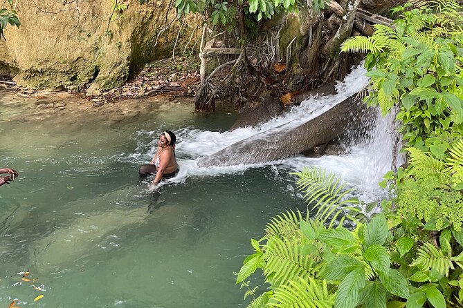Benta River & Falls Private Tour From Montego Bay - Guide support, privacy, and getting good photos