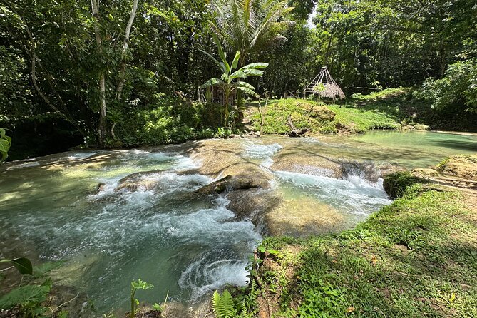 Benta River & Falls Private Tour From Montego Bay - Who this tour suits best in Westmoreland