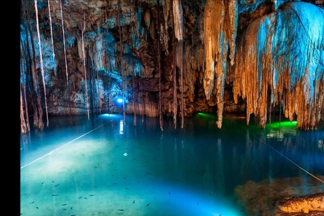 Bioluminescence Lagoon Tour from Montego Bay with Pick Up - What You See When the Lagoon Starts Glowing