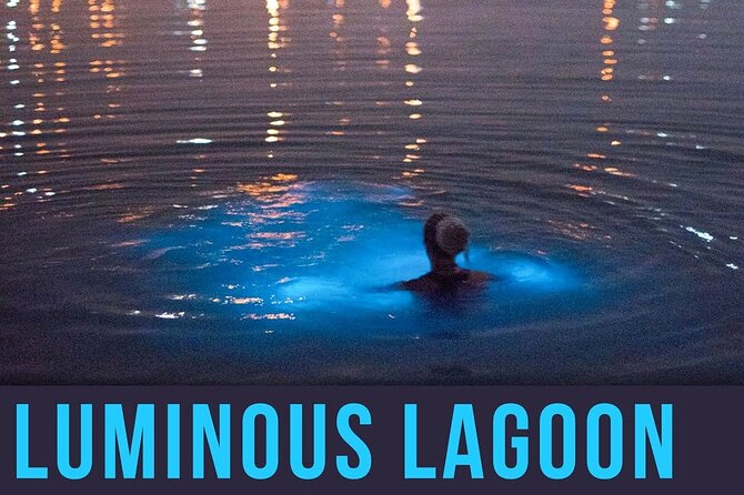 Bioluminescence Lagoon Tour from Montego Bay with Pick Up - Stop 1 at the Martha Brea River SUP Area: First Glowing Look
