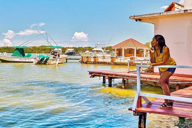 Bioluminescence Lagoon Tour from Montego Bay with Pick Up - Price and Value: Is $105 Worth It?