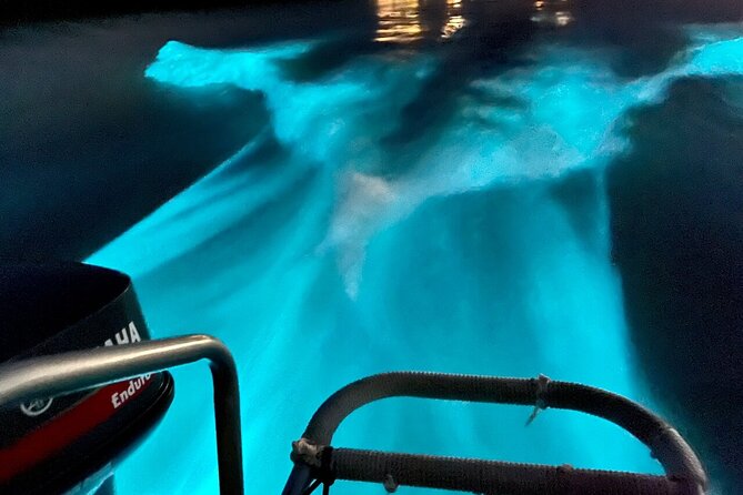 Bioluminescence Lagoon Tour from Montego Bay with Pick Up - Who This Tour Is Best For (and Who Should Think Twice)