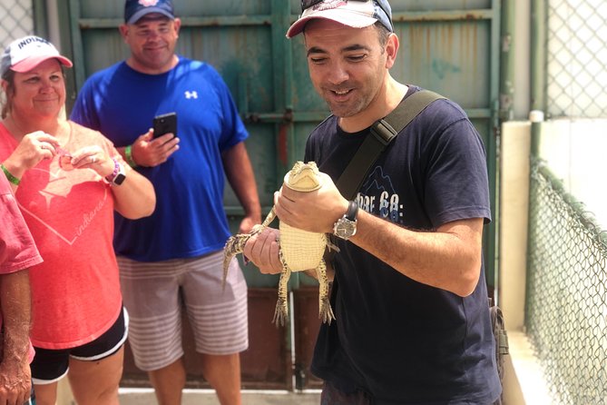 Black River Safari and YS Falls - Spotting crocodiles and birds on a comfy boat