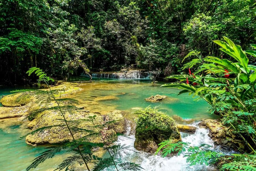 Black River Safari and Ys Falls Tour and Transportation - FAQ