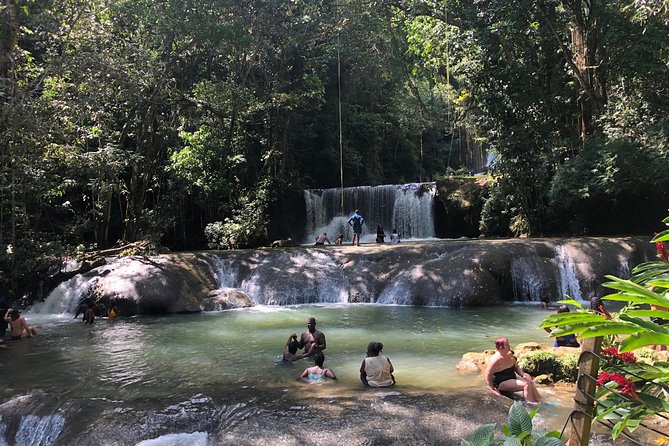 Black River Safari, YS Falls and Appleton Estate - Key things to know before you go