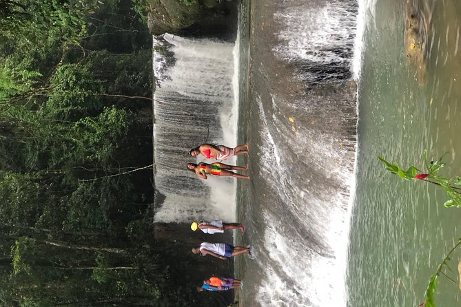 Black River Safari, YS Falls and Appleton Estate - Black River Safari: 90 Minutes of Crocodiles, Birds, and Wetland Views