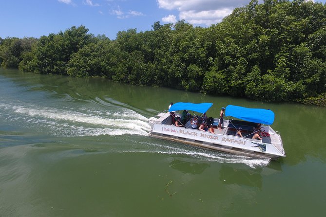 Black River Safari, YS Falls and Appleton Estate - Best For, Skip If: Who This Tour Fits