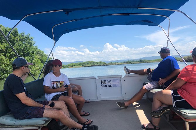 Black River Safari, YS Falls and Floyd's Pelican Bar - Price and value: what $133.34 covers, and what you should budget on top