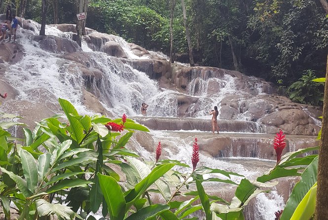 Blue Hole and Dunn's River Adventurous and hiking waterfalls from Ocho Rios - Dunn’s River Falls and Park: the classic climb and why it’s worth the effort