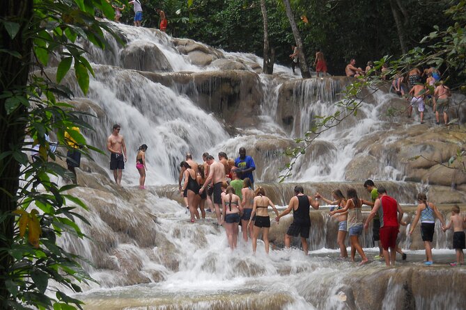 Blue Hole and Dunn’s River Falls Tour with Lunch and Cocktails at Reggae Hill - Guides, Group Size, and the Day’s Most Praised Parts