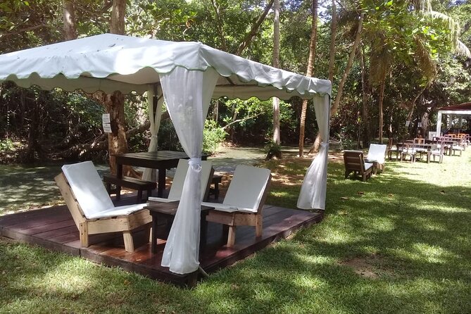 Blue Hole and Dunn’s River Falls Tour with Lunch and Cocktails at Reggae Hill - Value for $159: What You’re Actually Paying For
