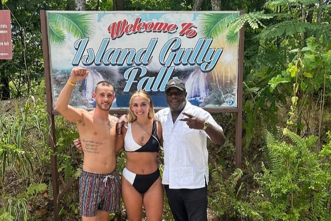 Blue Hole and Dunn's River Tour (Entrance Fees Not Included) - Price and the real value, plus the entry-fee math