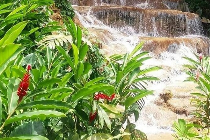 Blue Hole And Konoko Falls Combo Tour From Ocho Rios & Runaway Bay! - Blue Hole: Rope Swings, Cliff Jumps, and Underwater Caves