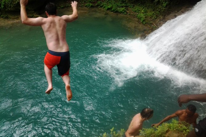 Blue Hole, Dunn's River Falls Luminous Lagoon Excursion From Montego Bay - Key reasons this excursion feels worth your time